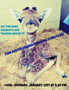baby giraffe ucb mlk live show justin johnson