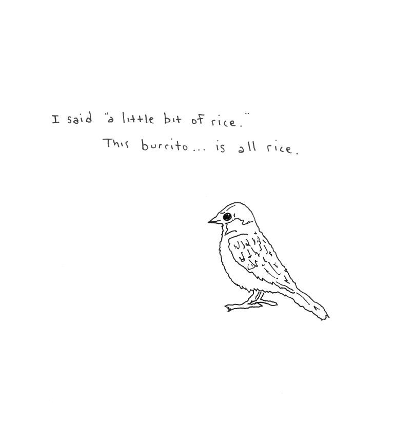 Birds Don't Like Rice Burritos Cartoon