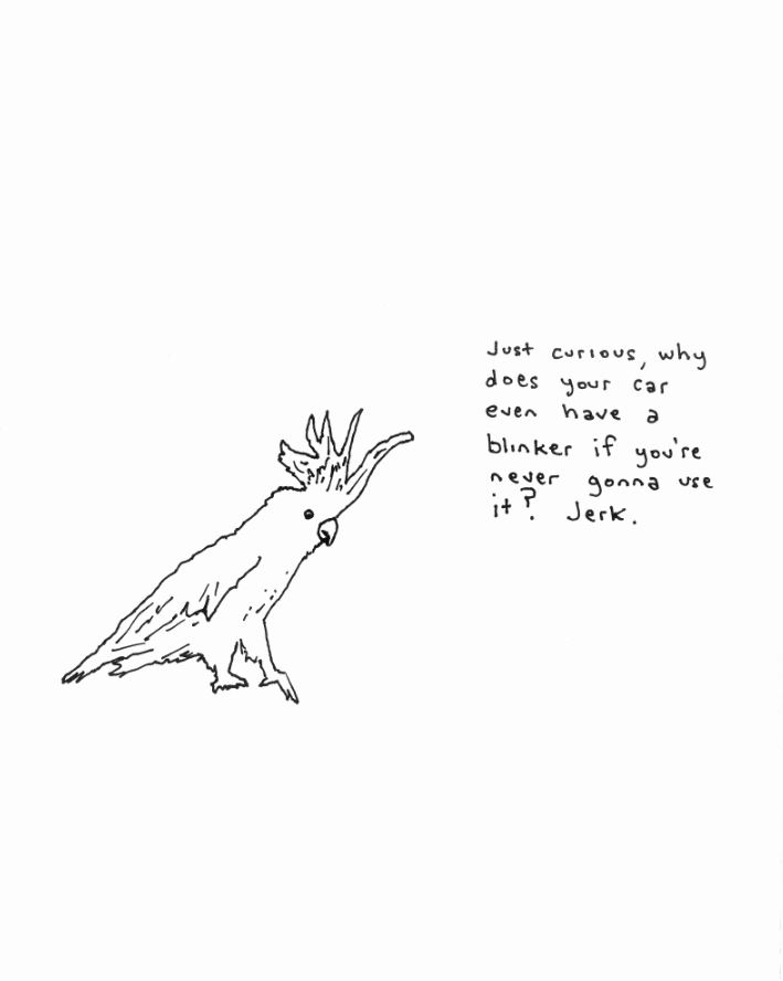 Cockatoo With An Attitude - Cockatude Cartoon